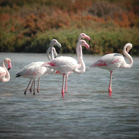 Alojamiento Rural Coto De La Isleta El Puerto de Santa Maria Luaran gambar