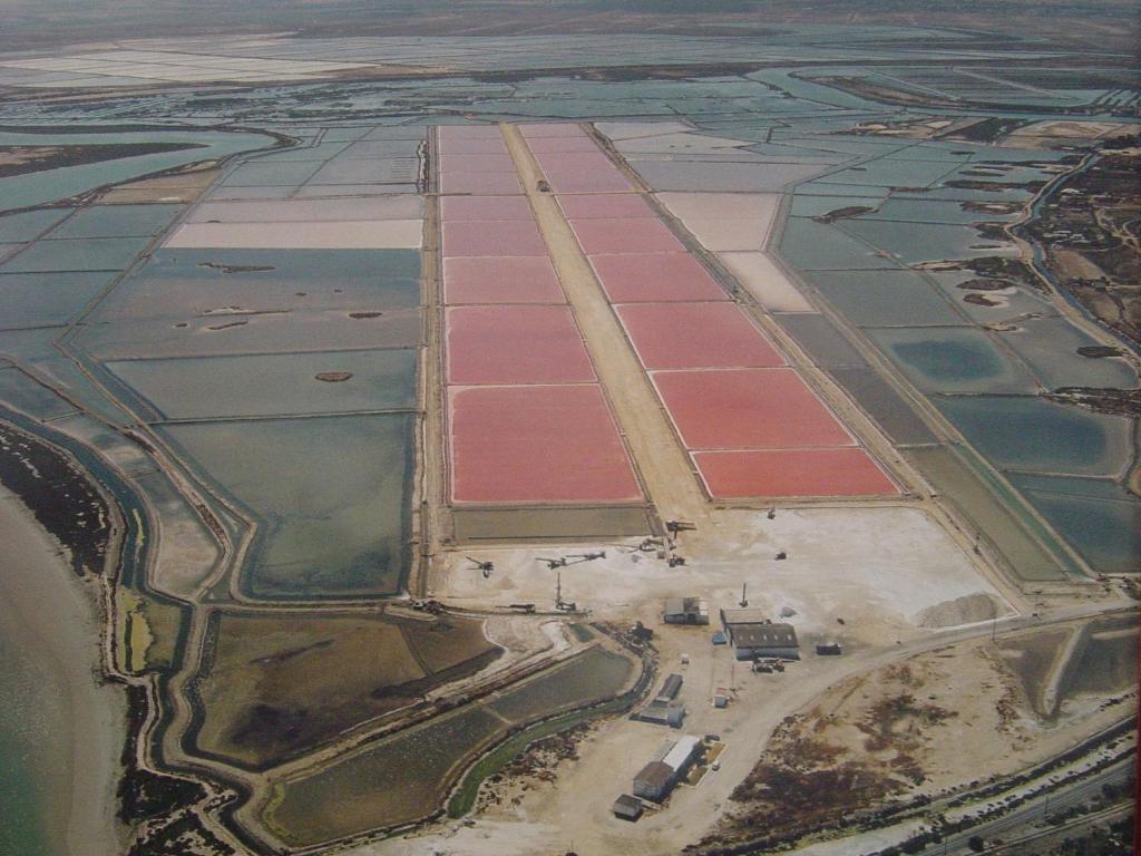Alojamiento Rural Coto De La Isleta El Puerto de Santa Maria Luaran gambar