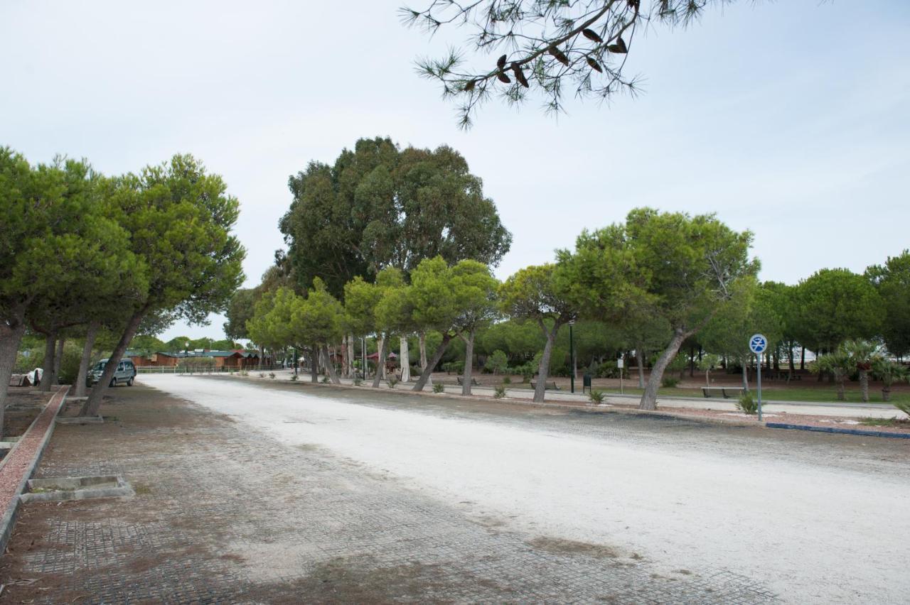 Alojamiento Rural Coto De La Isleta El Puerto de Santa Maria Luaran gambar